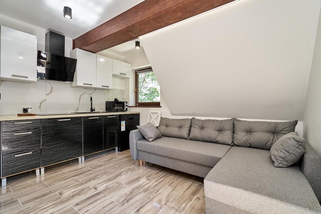 Apartamenty U Kamila Zakopane Kültér fotó